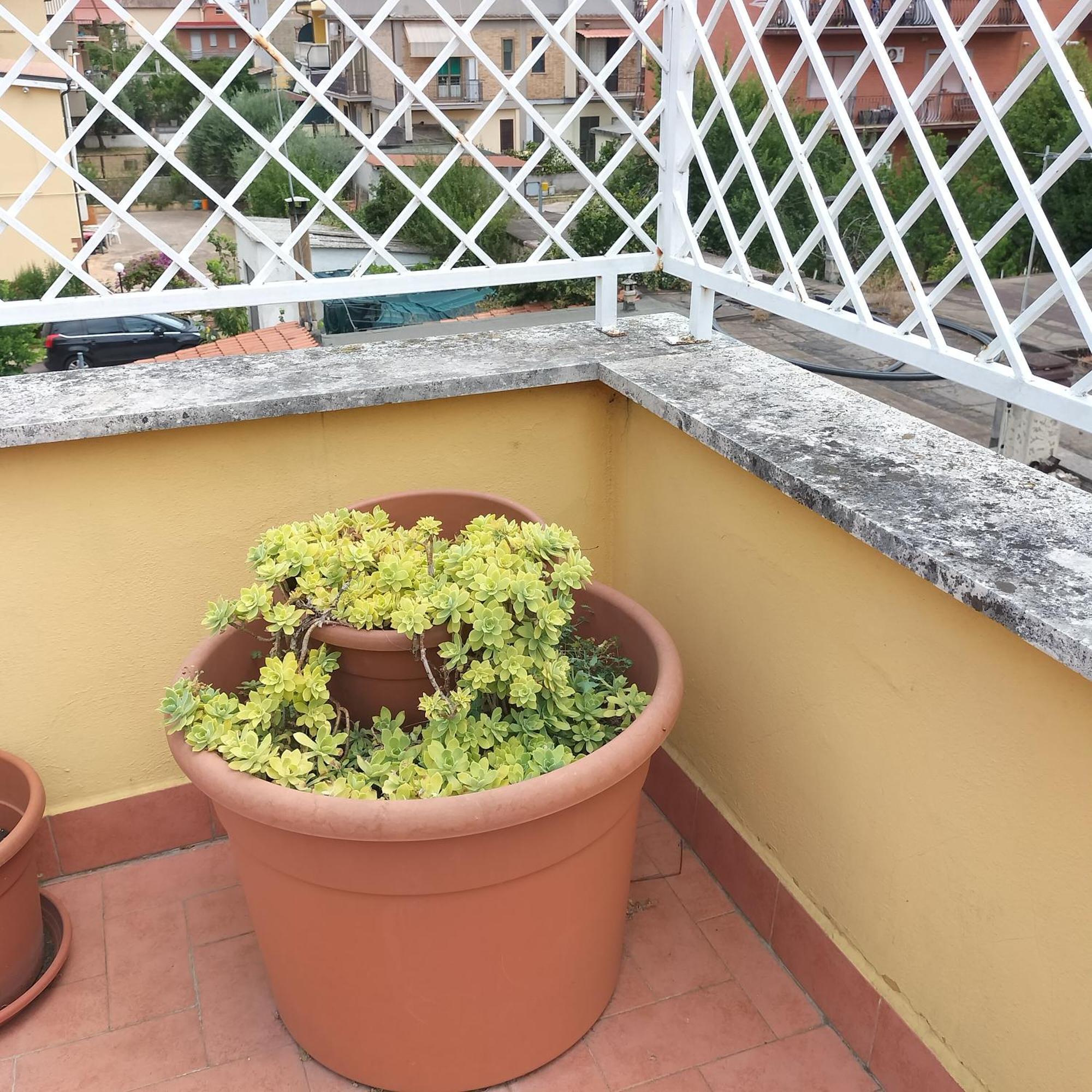 Appartamento Casilina